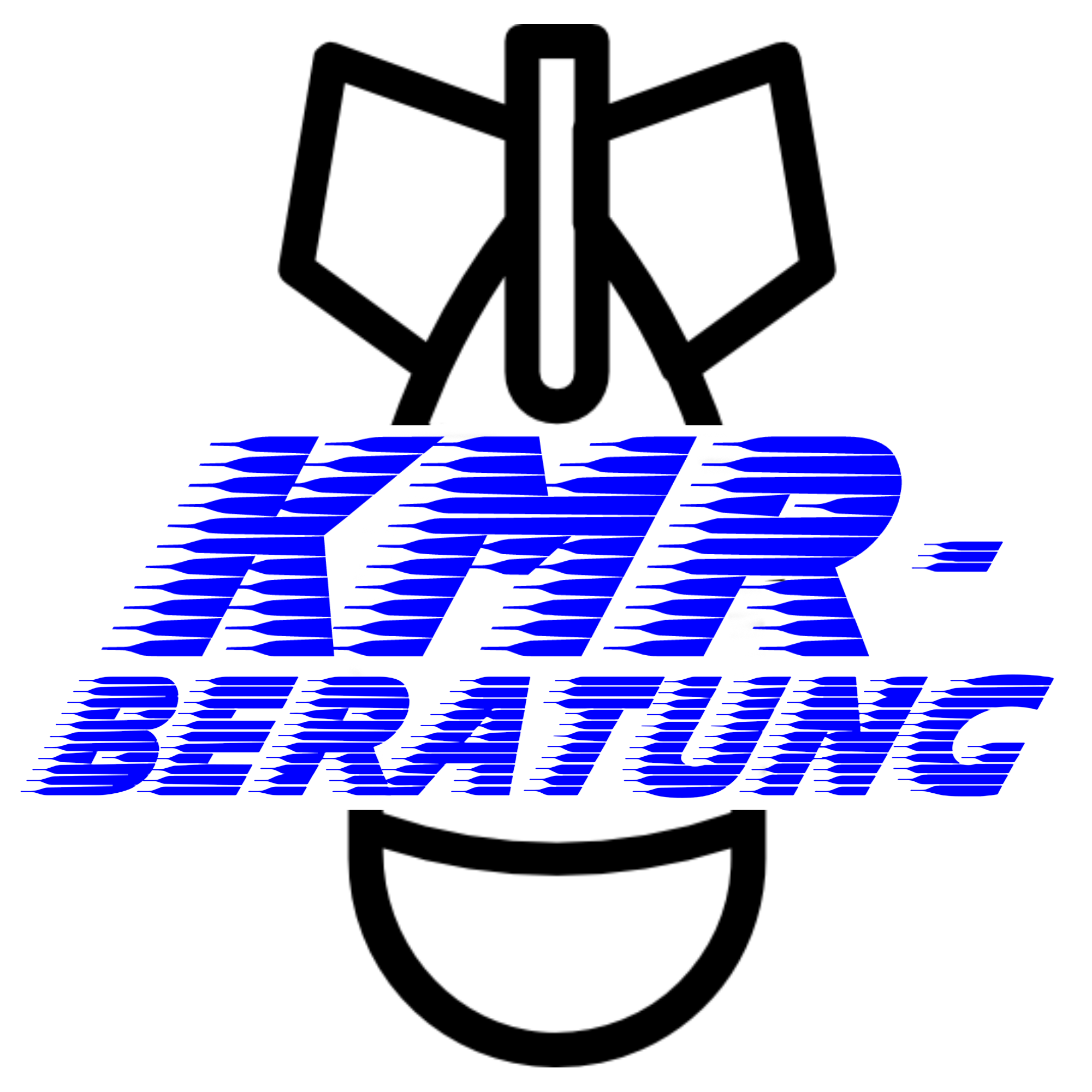 kmr-beratung.de